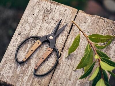Barebones Walnut Garden Scissors - Small