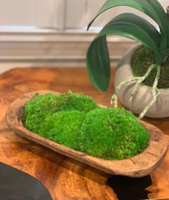 Moss Petite Wooden Dish - Natural