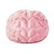 Giant Brain Ball