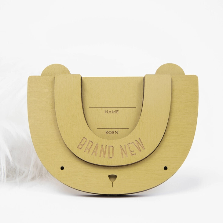 Bear Cub Milestone Set