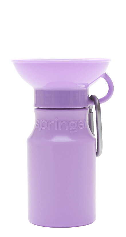 Springer Mini Travel Bottle (15oz) - Assorted