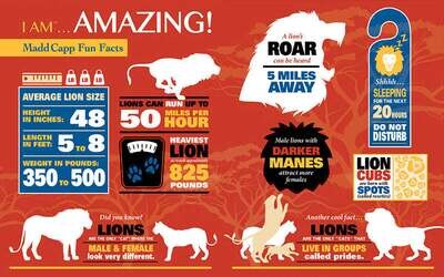I AM Lion Puzzle - 300 piece