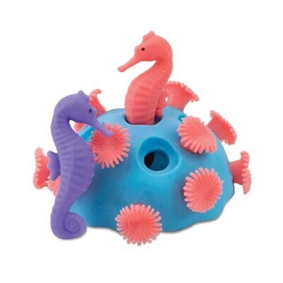 Stretchy Coral &amp; Seahorse