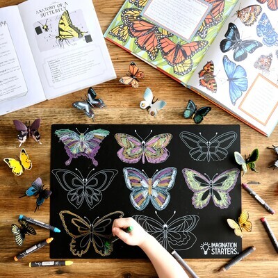 Imagination Starters Chalkboard Placemats Coloring Set (12"x17")  - Princess/Butterfly
