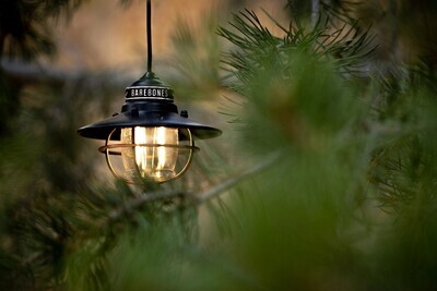 Barebones Edison Pendant Light - Antique Bronze