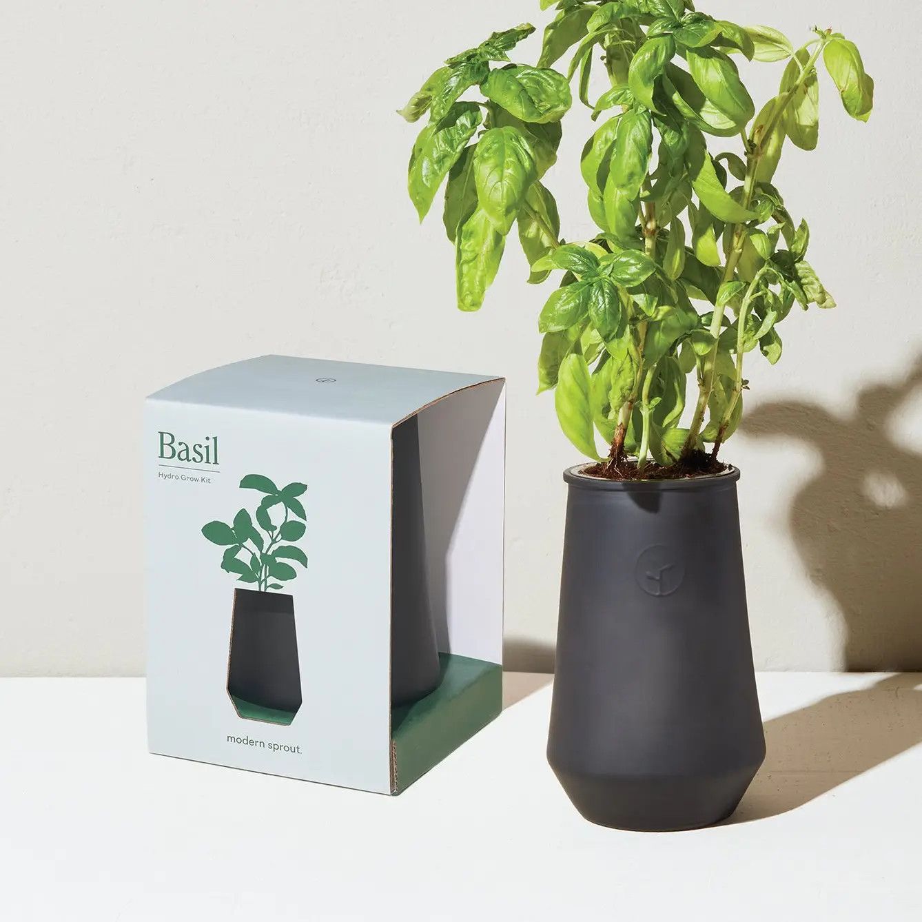 Modern Sprout Tapered Tumbler -Basil