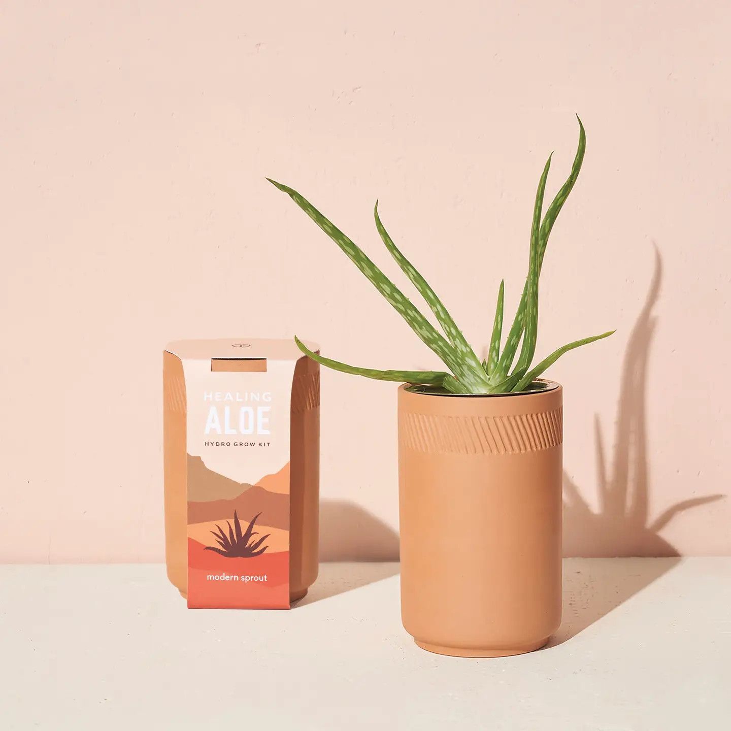 Modern Sprout Terracotta Kit - Aloe