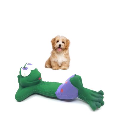 Squeaky Beach Frog Rubber Dog Toy