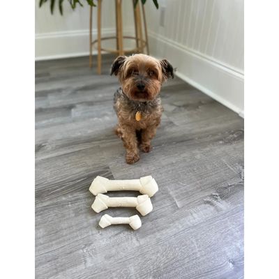 Squeaky Bone -Large