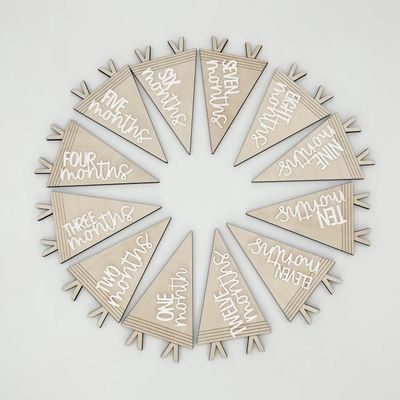 Mud &amp; Honey Pennant Baby Monthly Markers