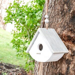 Tear Drop Birdhouse with Roof