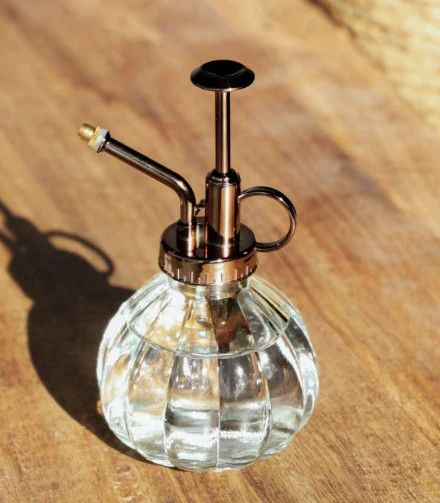 Succulent Mister Ball Shape