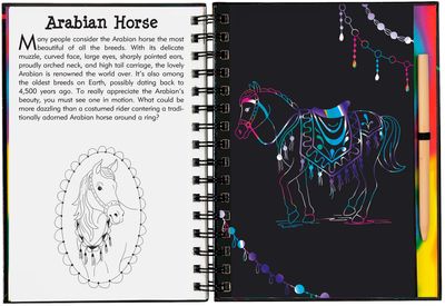 Scratch &amp; Sketch - Horses