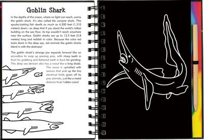 Scratch &amp; Sketch - Sharks
