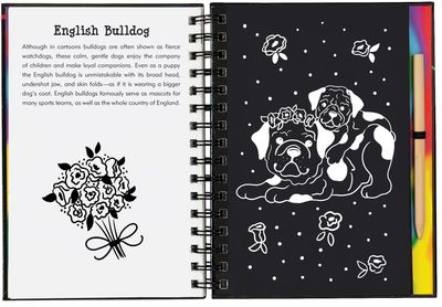 Scratch &amp; Sketch - Puppies