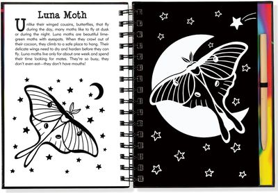 Scratch &amp; Sketch - Butterflies and Friends