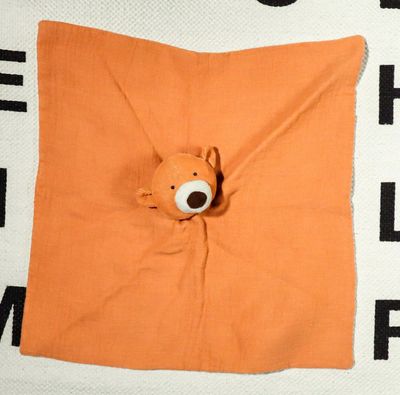 Bear Security Blanket