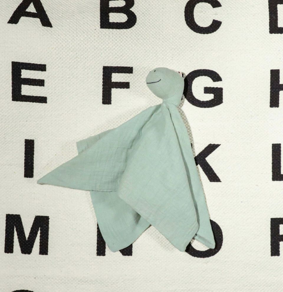 Dinosaur Security Blanket