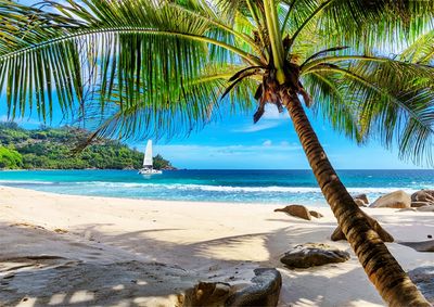 Wooden City - Paradise Island Beach L