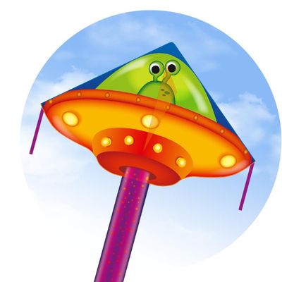 ECO - SIMPLE FLYER UFO 120CM 47"