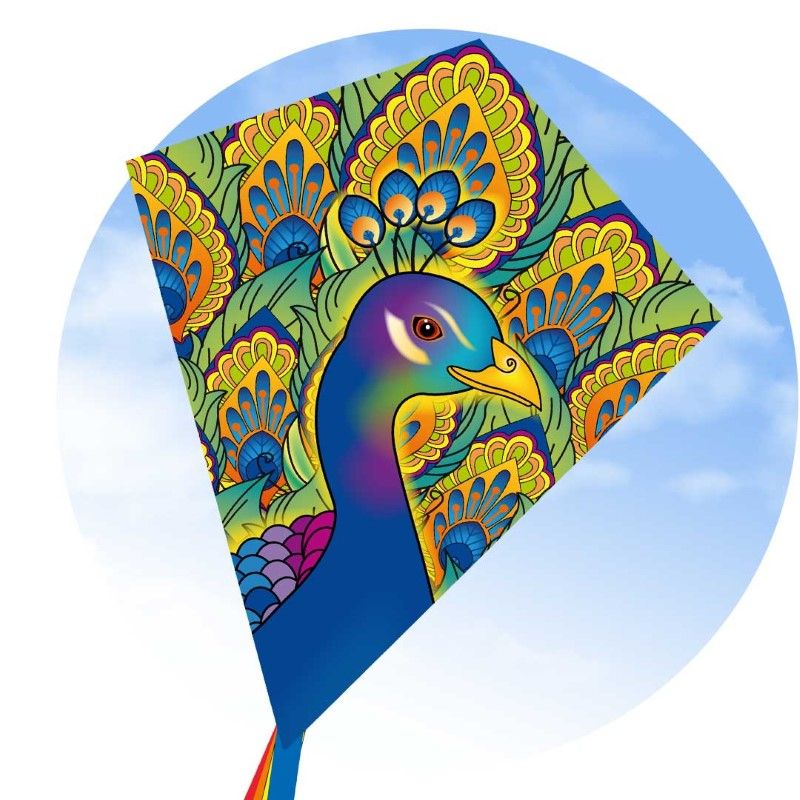 ECO - EDDY PEACOCK 70CM 28"