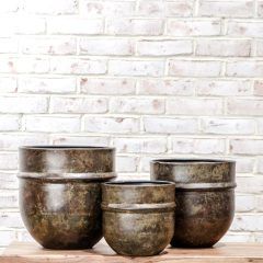 Iron Petunia Planter -Medium