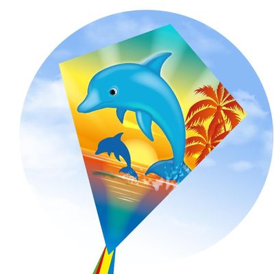 ECO - EDDY DOLPHIN SUNSET KITE 70CM 28