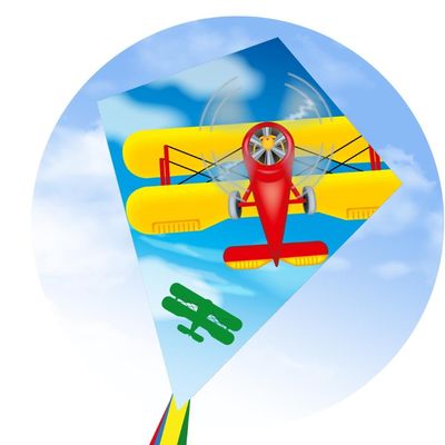 ECO - EDDY CLASSIC BIPLANE KITE 70CM 28"