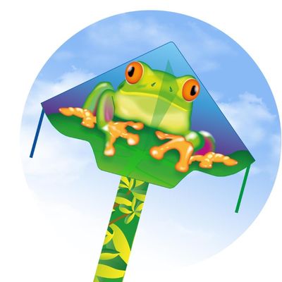 ECO - SIMPLE FLYER FROGGY KITE 120 CM 47"