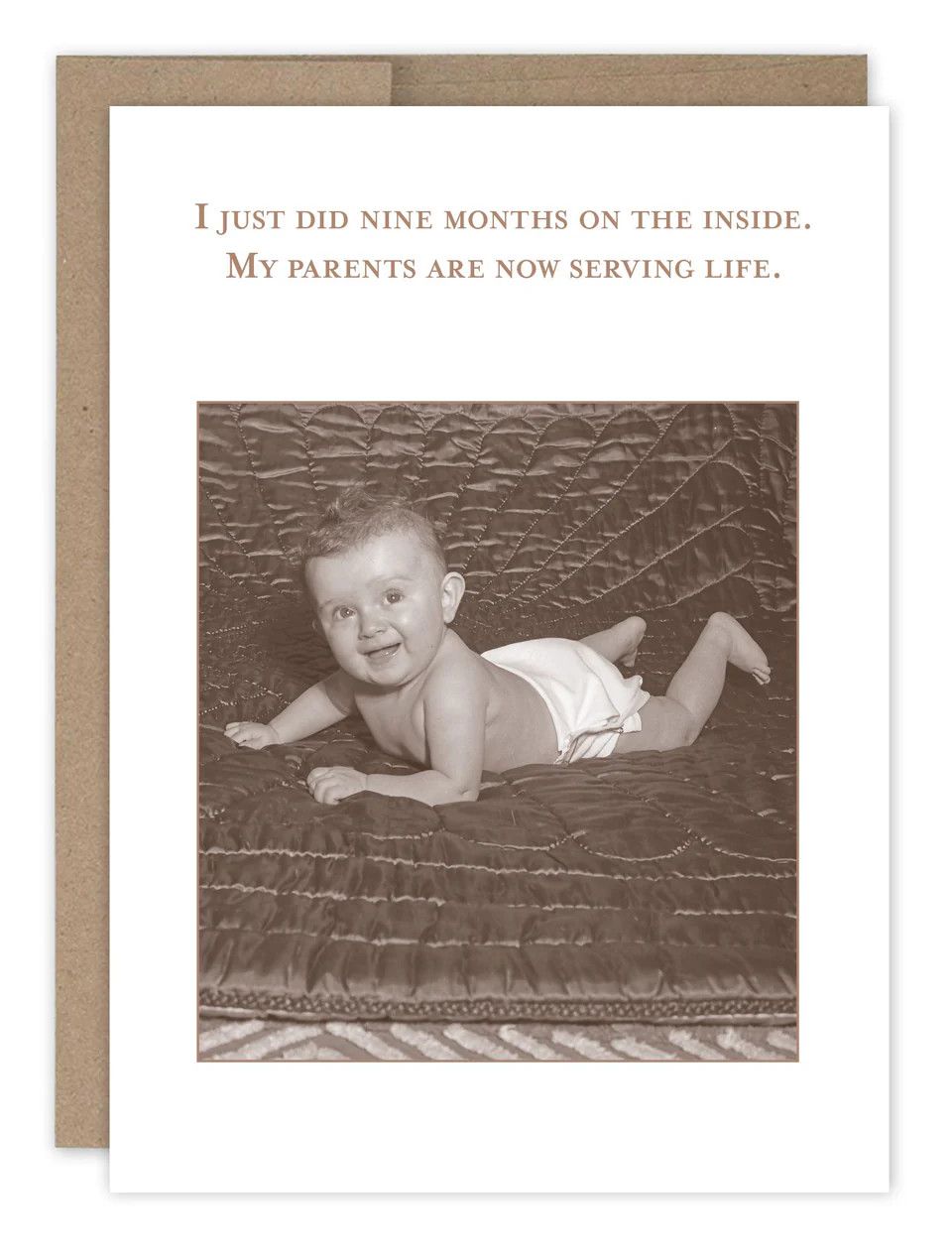 Shannon Martin Design Nine Months Baby Card