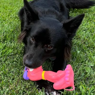 Squeaky Retro Silly Rubber Dog Toy