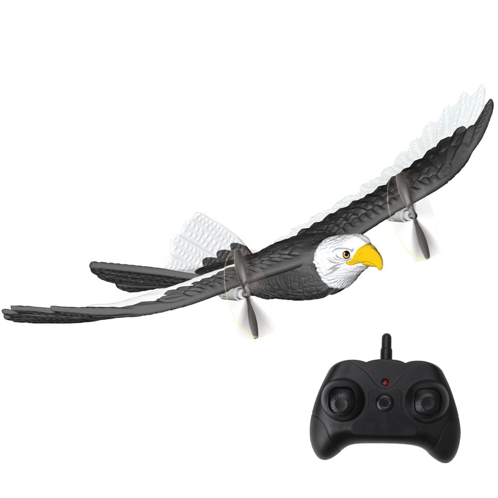 Bald Eagle R/C