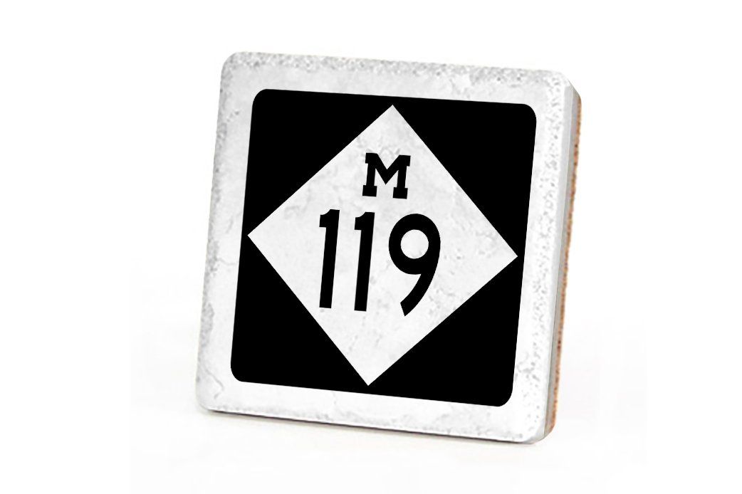 M119 Coaster