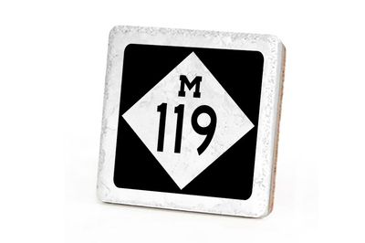M119 Coaster