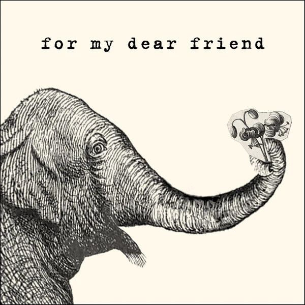 2nd Edition Assorted NoteCards