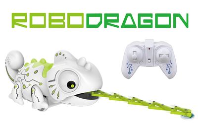 RoboDragon R/C