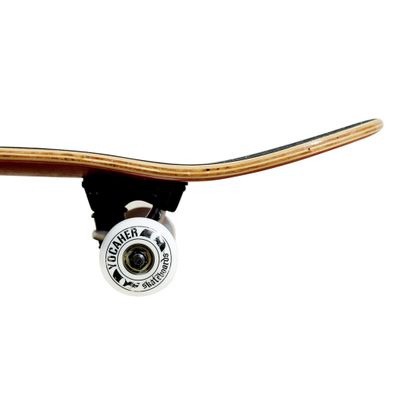 Graphic Complete Skateboard 7.75" - Blind Justice
