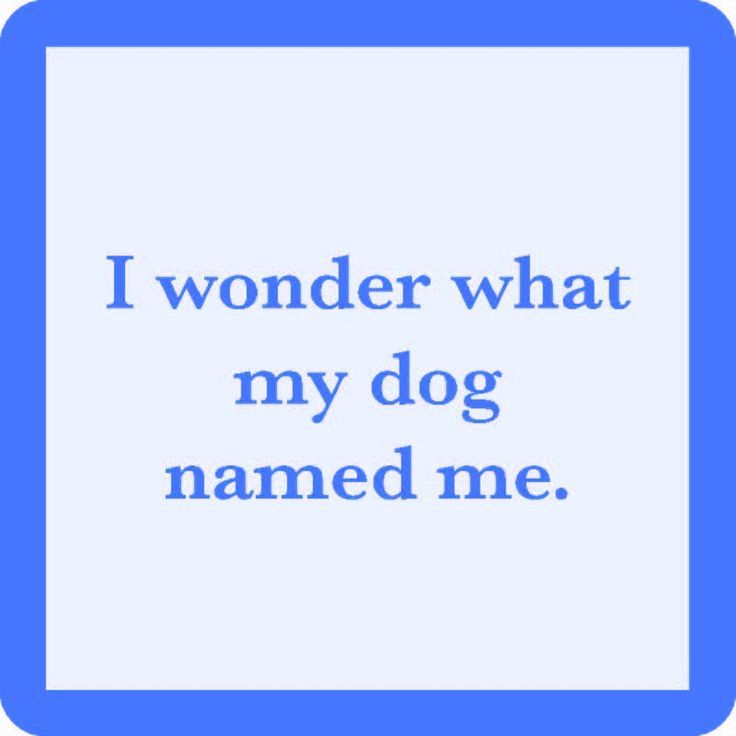 Drinks On Me - Coaster - , Color: Dog Named Me
