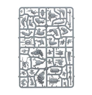 Warhammer Age of Sigmar Spearhead Seraphon