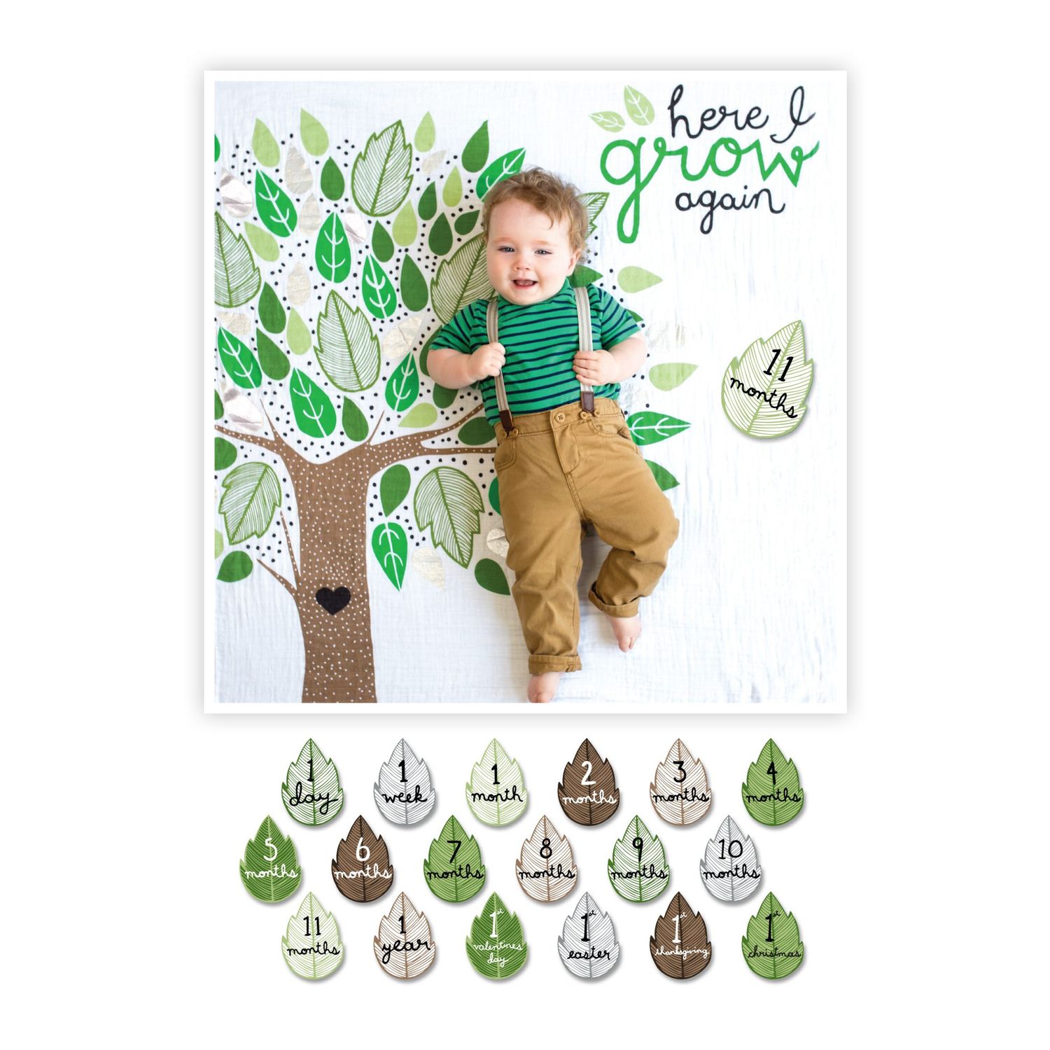Lulujo Baby’s First Year – “Here I Grow Again”