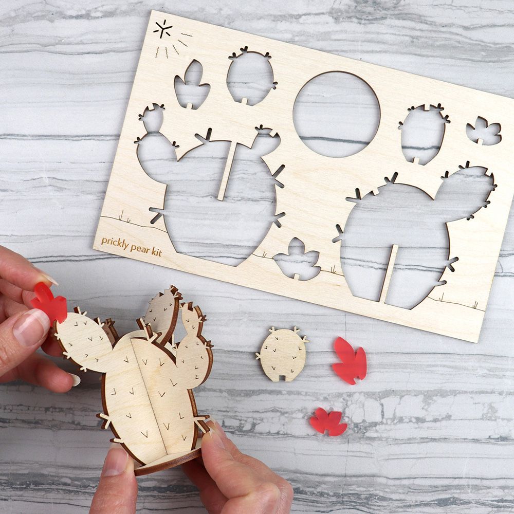 Cactus Kit - Prickly Pear