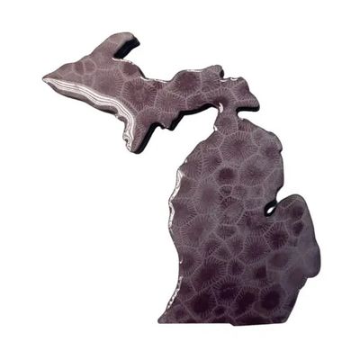 Magnet- MI Petoskey Stone