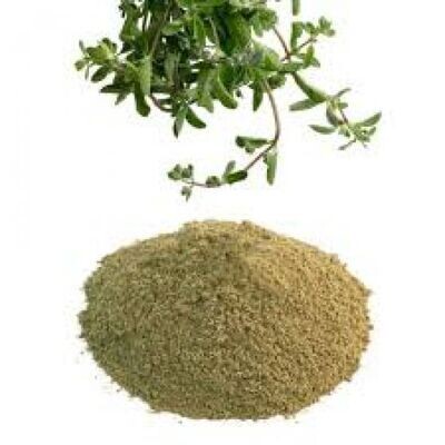 JB's Ground Marjoram