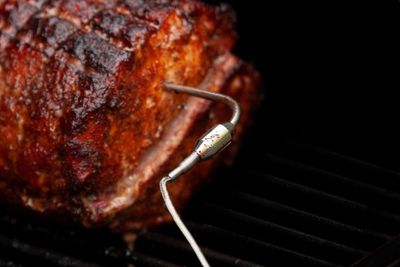 Fireboard Food Probe