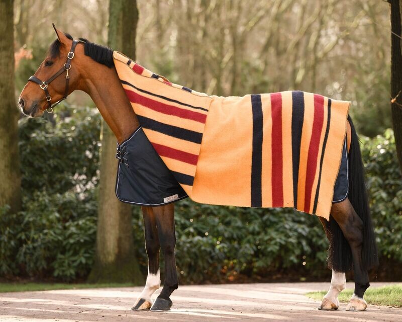 Golden stripe - wol Dominick 