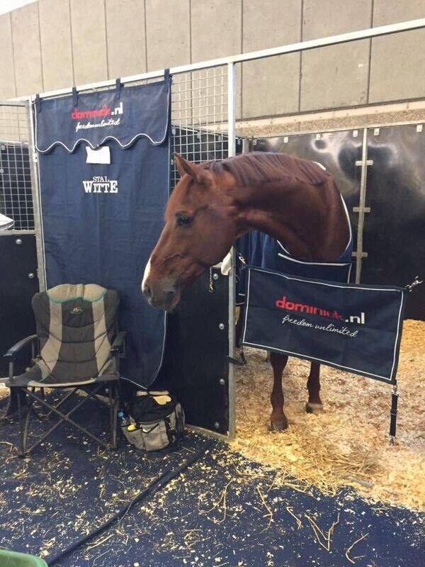 Stable curtain Dominick Stable curtain Dominick