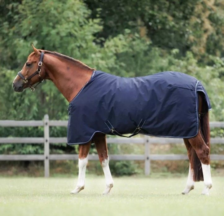 Weidedeken Paddock 150gr Dominick