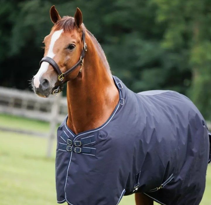 Weidedeken Paddock 350gr Dominick