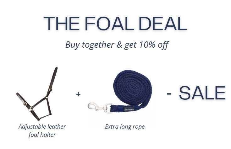 Deal leren veulenhalster + lang touw