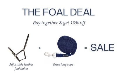 Deal leren veulenhalster + lang touw